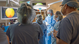 The First Uterus Transplant in the US Has Failed